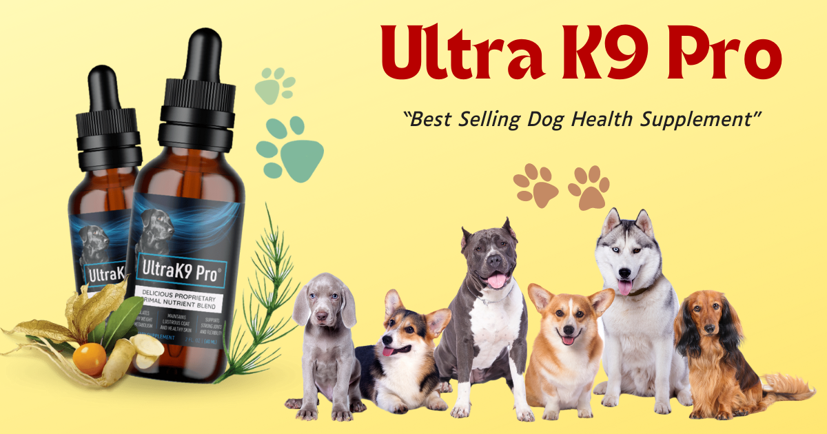Is Ultra K9 Pro Worth It? A Revealing Ultra K9 Pro 2023 Review Dog